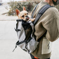 PawPath Travel — Pet Dog Carrier Bag Carrier For Dogs Backpack Out...