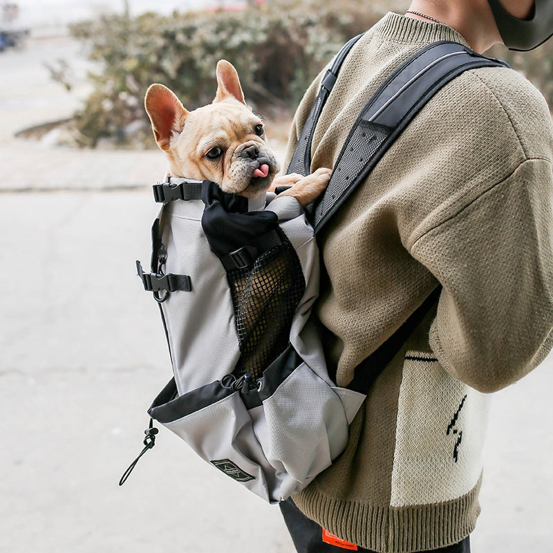 PawPath Travel — Pet Dog Carrier Bag Carrier For Dogs Backpack Out...