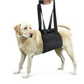 PawPath Road Trip — Dog leash auxiliary belt