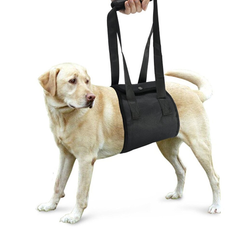PawPath Road Trip — Dog leash auxiliary belt