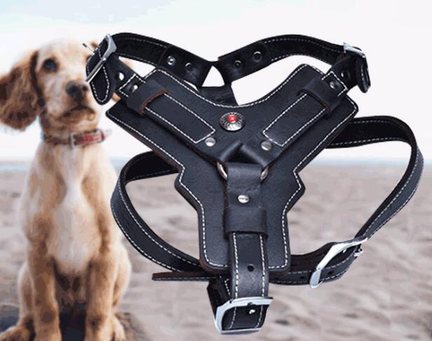 PawPath Road Trip — Genuine Leather Dog Harness