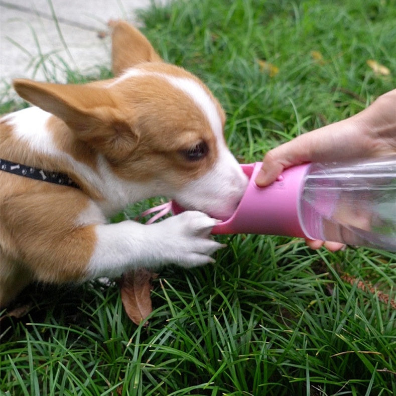 PawPath Travel — Dog Water Bottle Portable Pet Water Bottle Leak...