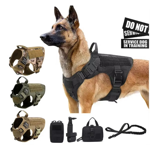 PawPath Road Trip — Pet Harness Luxury Dog Leash Set Chest Dog...