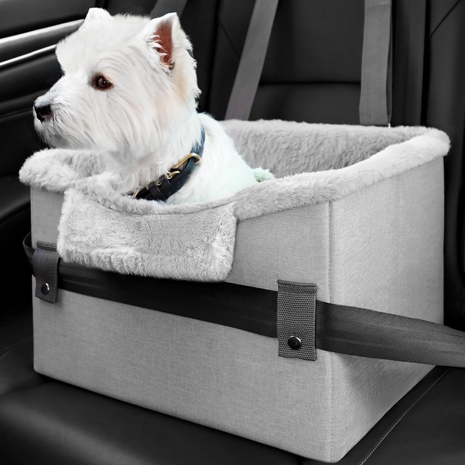 PawPath Road Trip — Portable Small Dog Car Seat Dog Booster Seat...