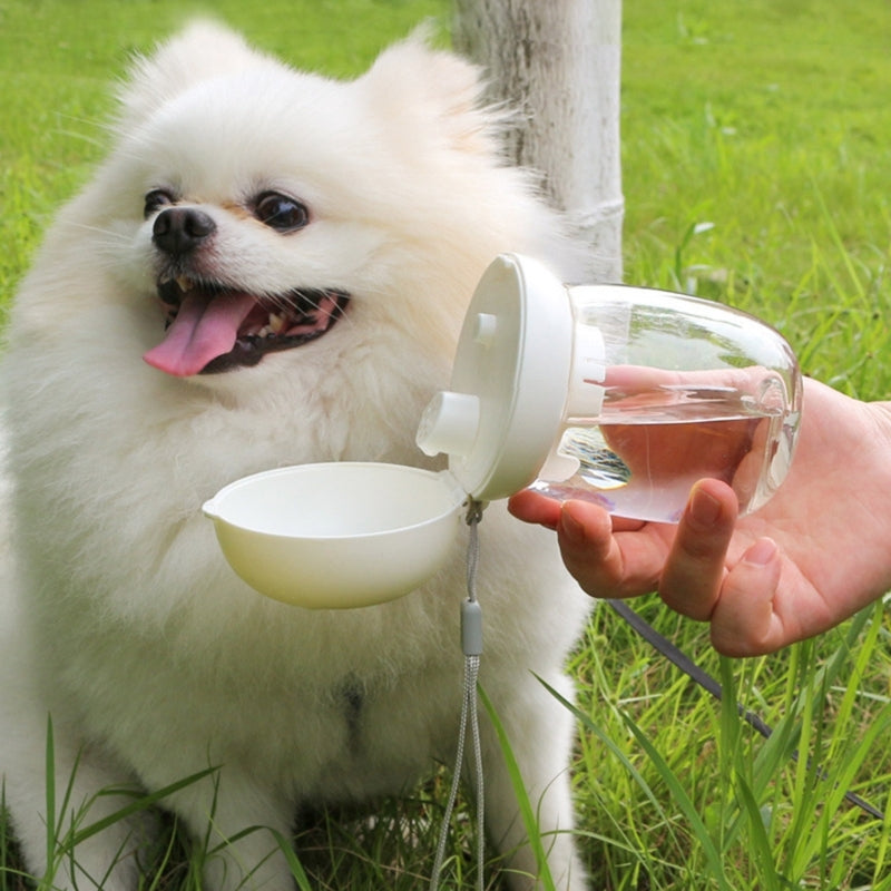 PawPath Travel — Portable Dog Water Bottle Go Out Dog Walking...