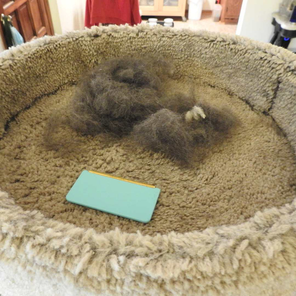PawPath Pet Hair Removal Kit — Pro & Mini Bundle